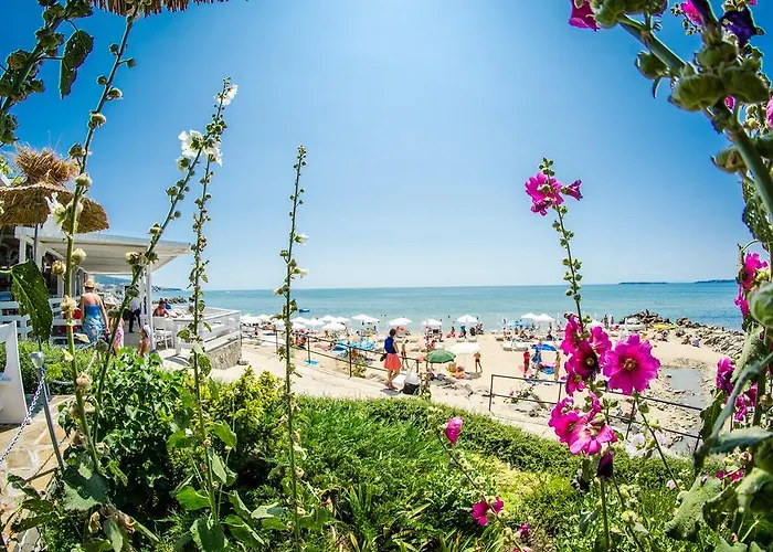 蔚蓝海岸尊贵公寓